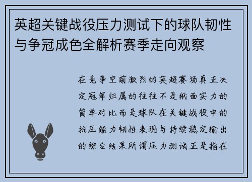 英超关键战役压力测试下的球队韧性与争冠成色全解析赛季走向观察